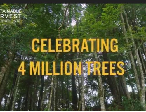 Planting 4 Million Trees